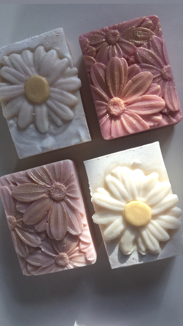 Spring Daisies