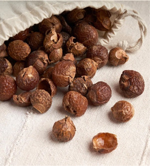 Soap Nuts