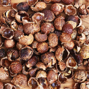 Soap Nuts