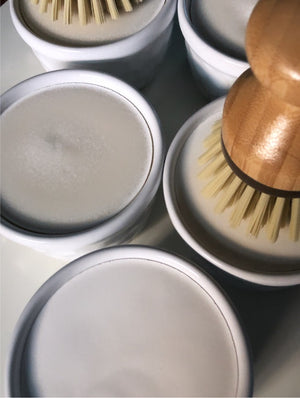 All-Purpose Soap & Brush Set